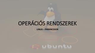 OPERÁCIÓS RENDSZEREK