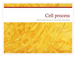 Cell process