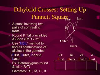Dihybrid Crosses: Setting Up Punnett Square