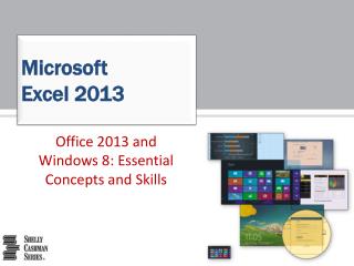 Microsoft Excel 2013