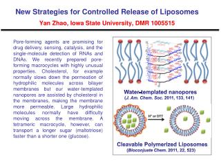 Water-templated nanopores ( J. Am. Chem. Soc. 2011, 133, 141)