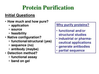 Protein Purification