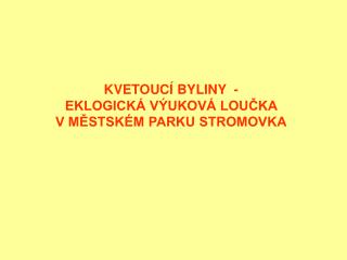 KVETOUCÍ BYLINY - EKLOGICKÁ VÝUKOVÁ LOUČKA V MĚSTSKÉM PARKU STROMOVKA
