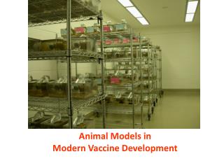 Animal Models in Modern Vaccine Development