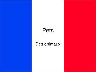 Pets