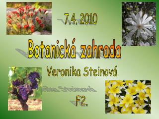 Botanická zahrada