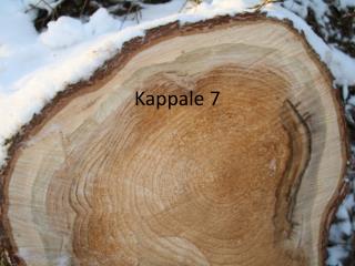 Kappale 7