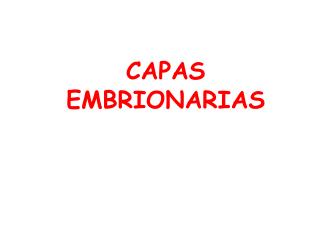 CAPAS EMBRIONARIAS