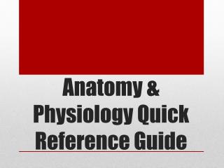 Anatomy &amp; Physiology Quick Reference Guide