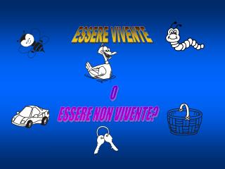 ESSERE VIVENTE