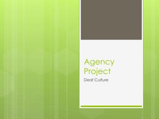 Agency Project
