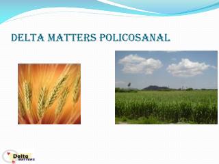 Delta Matter's Policosanol
