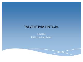 TALVEHTIVIA LINTUJA.
