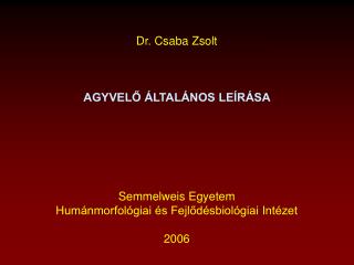 Dr. Csaba Zsolt AGYVELŐ ÁLTALÁNOS LEÍRÁSA Semmelweis Egyetem