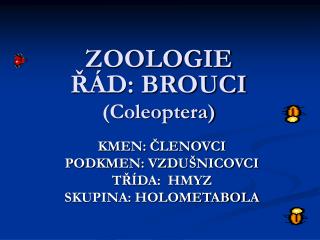 ZOOLOGIE ŘÁD: BROUCI (Coleoptera)