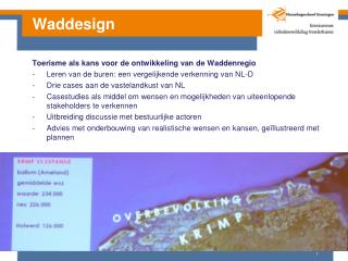 Waddesign