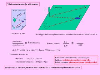 Yhdenmuotoisuus ja mittakaava