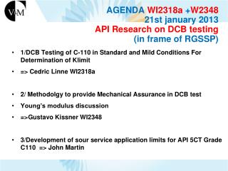 AGENDA WI2318a + W2348 21st january 2013 API Research on DCB testing (in frame of RGSSP)