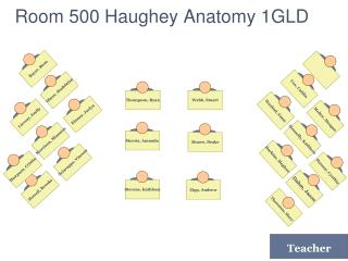 Room 500 Haughey Anatomy 1GLD
