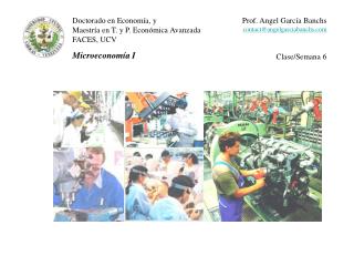 Doctorado en Economía, y Maestría en T. y P. Económica Avanzada FACES, UCV Microeconomía I