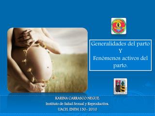 KARINA CARRASCO NEGUE. Instituto de Salud Sexual y Reproductiva. UACH. ENFM 130- 2010