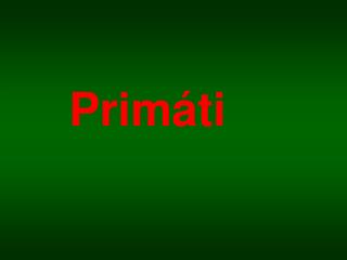Primáti