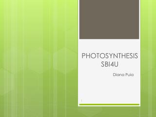 PHOTOSYNTHESIS SBI4U