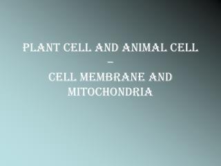 Plant cell and Animal cell – Cell membrane and Mitochondria