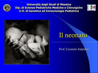 Il neonato