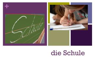 die Schule