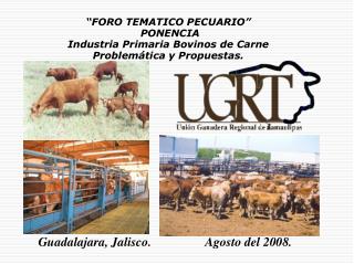 “FORO TEMATICO PECUARIO” PONENCIA Industria Primaria Bovinos de Carne