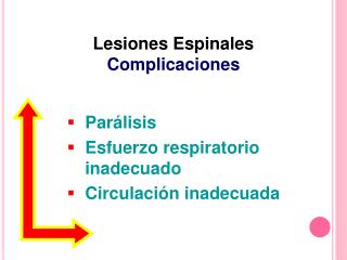 Parálisis 		 Esfuerzo respiratorio inadecuado Circulación inadecuada