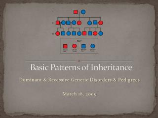 Basic Patterns of Inheritance