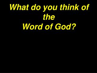 What do you think of the Word of God?
