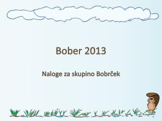 Bober 2013