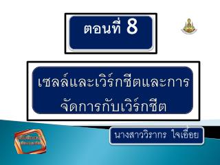 เซลล์และเวิร์กชีตและการจัดการกับเวิร์กชีต