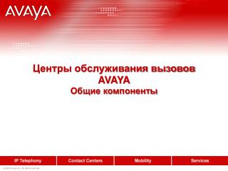 Центры обслуживания вызовов AVAYA Общие компоненты
