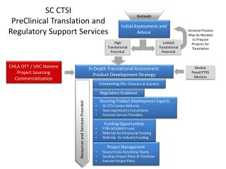 Initial Assessment and Advice