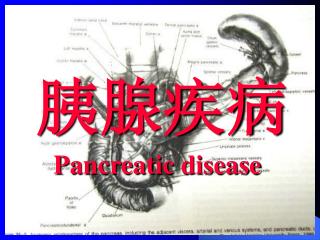 胰腺疾病