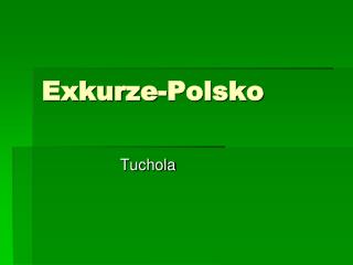 Exkurze-Polsko