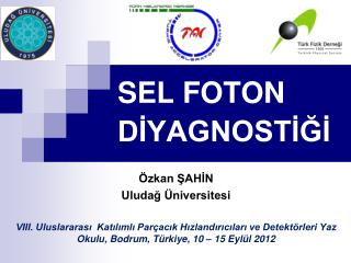 SEL FOTON DİYAGNOSTİĞİ