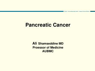 Pancreatic Cancer Ali Shamseddine MD Proessor of Medicine AUBMC