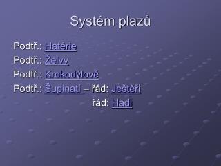 Systém plazů