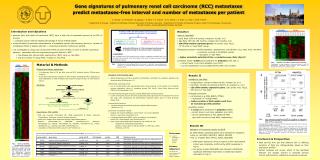 Gene signatures of pulmonary renal cell carcinoma (RCC) metastases