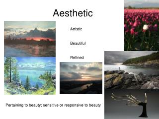 Aesthetic