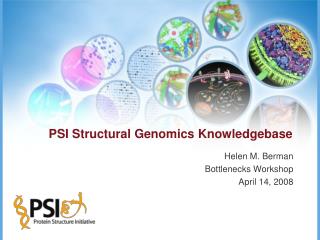 PSI Structural Genomics Knowledgebase