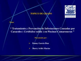TOPICO DE GRADO