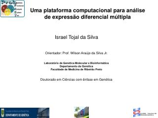 Israel Tojal da Silva Orientador: Prof. Wilson Araújo da Silva Jr.