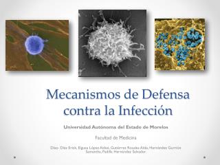Mecanismos de Defensa contra la Infección