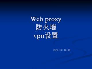 Web proxy 防火墙 vpn 设置